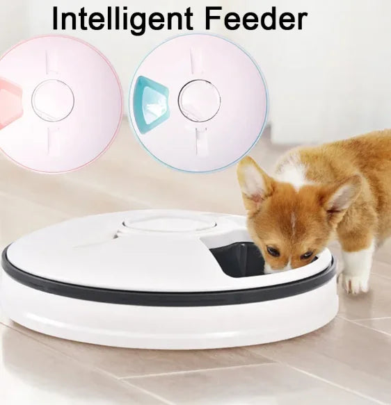 SmartCat™ Automatic Wet & Dry Feeder