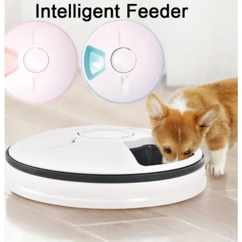 SmartCat™ Automatic Wet & Dry Feeder