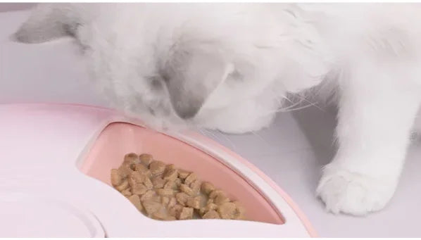 SmartCat™ Automatic Wet & Dry Feeder