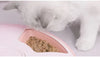 SmartCat™ Automatic Wet & Dry Feeder